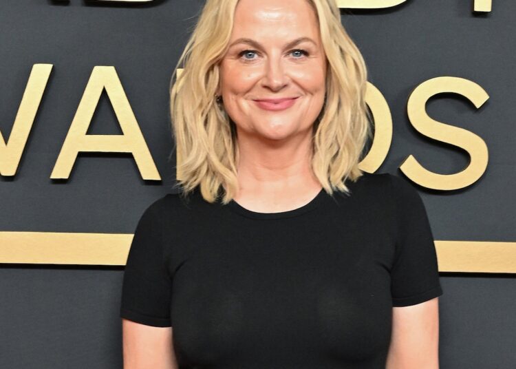 Amy Poehler e Ana Gasteyer brigam de avião pelo bebê