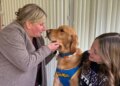 Cão da área de Canton, Ohio, é o vencedor no set de filmagem de 'Air Bud Returns'