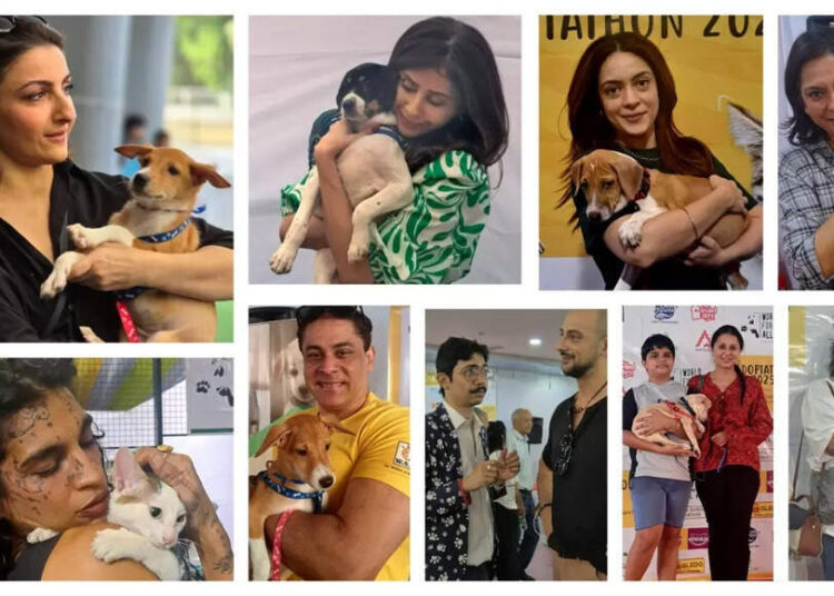 Celebridades apoiam o Adoptathon 2025 | Notícias de filmes de eventos