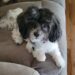Walter (Payton)