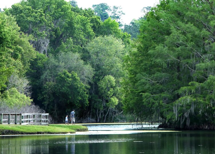 Entretenimento em Gainesville e Alachua County, Flórida, janeiro de 2026
