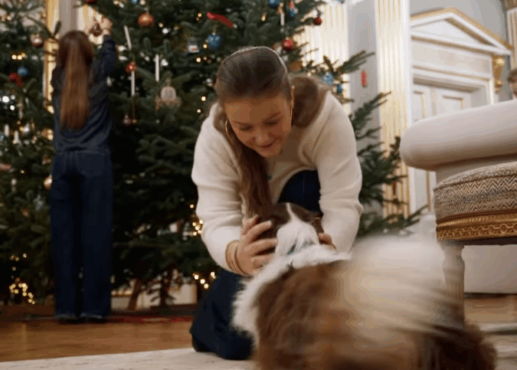 Este cachorro real roubou a cena em um vídeo de Natal familiar confiável