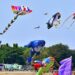 Festival de pipas com TI e outros funcionários em Tummidikunta de Hitech City, celebridades do cinema no lago Kukatpally Nallacheruvu a partir de 11 de janeiro