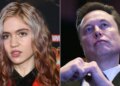 Grimes afirma que Elon Musk a bloqueou no X em meio a lutas entre pais e mães