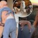 Jennifer Aniston compartilha um vislumbre das festividades de Natal com o namorado Jim Curtis