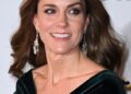 Kate Middleton não consegue resistir aos encantos do doce cachorro no Royal Variety Performance - enquanto a princesa de 'natureza gentil' é vista dando tapinhas em um convidado peludo em um clipe comovente