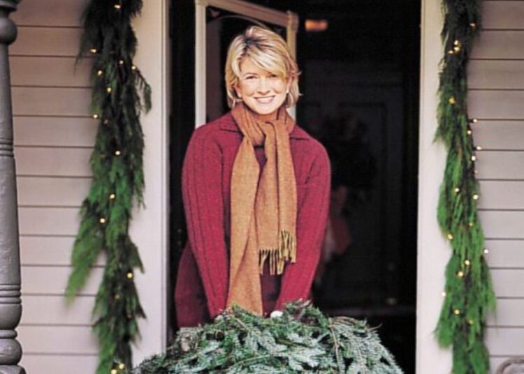 Martha Stewart torna-se coproprietária da Swansea City, Entertainment News