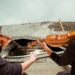 Música clássica, maestros de orquestra, um baile italiano… o diário secreto da Filarmônica oferece pelo menos 4 eventos gratuitos no início de 2026