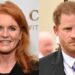O Príncipe Harry deve desencadear outra guerra real ajudando Sarah Ferguson
