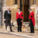 O ex-príncipe Andrew não desistirá dos Corgis da Rainha Elizabeth, diz que isso 'prova' que o Late Royal 'confiou nele' (exclusivo)