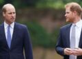 O príncipe Harry deve lutar por um papel real de destaque em 2026, apesar da divisão de William