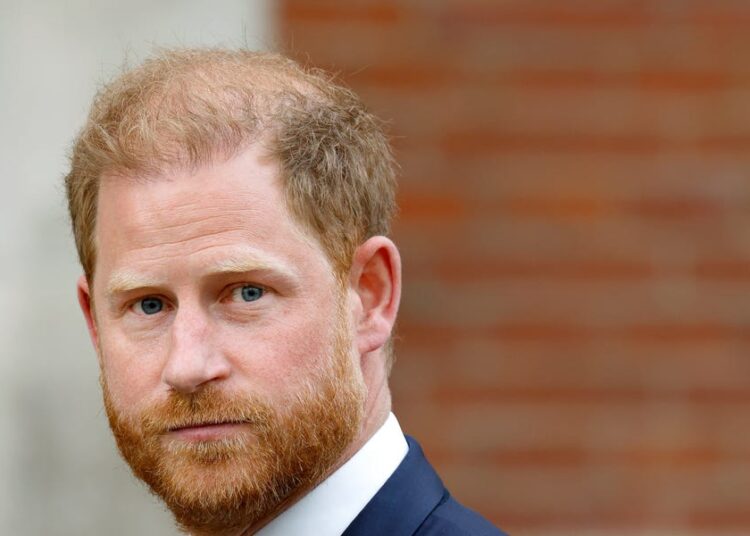 O príncipe Harry quer uma “corte real” que “rivalizará” com a do príncipe William