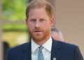 O príncipe Harry ‘deveria ter sido amigo’ desta chave da realeza