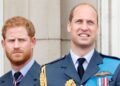 O príncipe William não fará isso com o príncipe Harry quando ele for rei - fonte