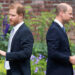 O tenso encontro do Príncipe William e do Príncipe Harry na Copa do Mundo tem fãs reais conversando