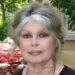 Os tristes últimos dias de Brigitte Bardot foram passados ​​escondidos, pois a falecida atriz não queria que o mundo soubesse que ela estava com 'excesso de peso' e 'sofrendo'