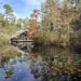 Por que você deve visitar a trilha natural Crosby Arboretum em MS | Entretenimento/Vida