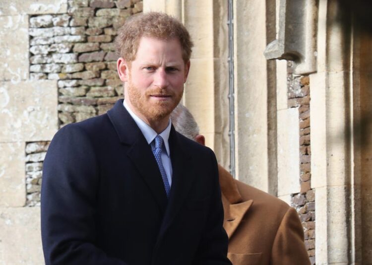 Príncipe Harry faz referência ao drama real em evento privado de Natal