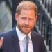 Príncipe Harry 'não tem como voltar' para a família real em meio a brigas | Galeria
