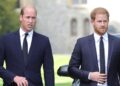 Príncipe William e Harry podem se unir pela tragédia enquanto a Família Real enfrenta grandes perdas