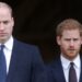 Príncipe William e Príncipe Harry Reunião estranha na Copa do Mundo
