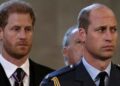 Príncipe William e primo de Harry recusam título real aos 18 anos