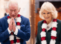Rei Charles e Rainha Camilla revelam enorme árvore de Natal real