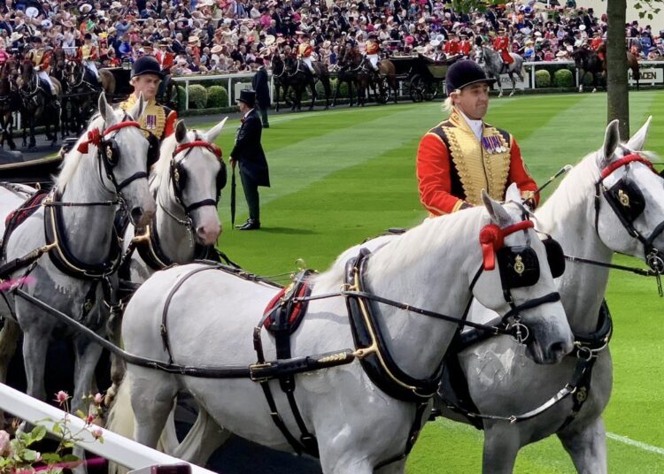 Royal Mews se mudará do Palácio de Buckingham para Windsor em uma grande mudança nas operações reais