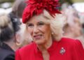 Royal family issues update on Queen Camilla’s beloved partner: ‘Busy year’