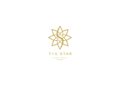 Star Entertainment Group inicia busca por novo CEO