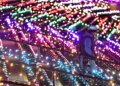 TAFE apresenta 'Miracle on34th Street' em York