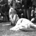 Uma musa dos músicos: 11 músicas inspiradas em Brigitte Bardot