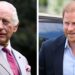 Verdadeira razão pela qual o rei Charles não verá o príncipe Harry durante a visita de estado aos EUA | Real | Notícias