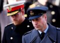 Vidente nomeia a realeza que pode consertar a briga do príncipe William com o príncipe Harry