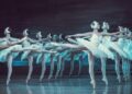 10 eventos de dança para participar neste inverno