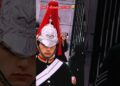 DO YOU MISS HIM#shorts #peterellis #kingsguard #buckinghampalace #realeza #royalfamily#respect#guard