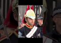 DO YOU MISS HIM🥰#kingsguard#realeza #buckinghampalace #shorts #peterellis#respect #royalfamily#king
