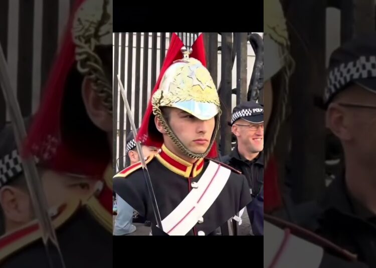 DO YOU MISS HIM🥰#kingsguard#realeza #buckinghampalace #shorts #peterellis#respect #royalfamily#king