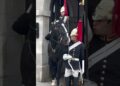 DO YOU MISS HIM🥰#realeza #peterellis #royalguard#respect #kingsguard #shorts #military #royalfamily