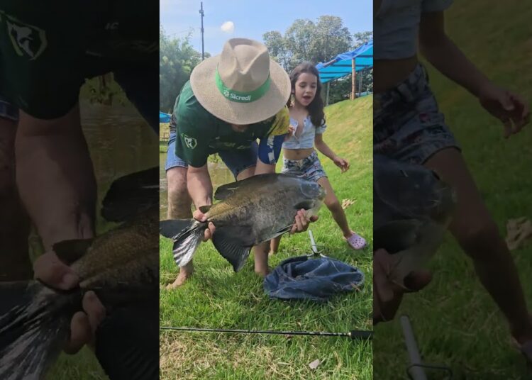 Tamba na masinha pesqueiro em Realeza Pr