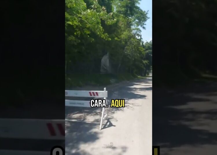 A Rua das Estrelas #shortsbrasil