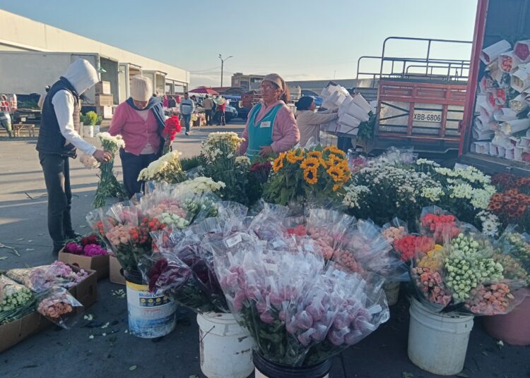 Desde madrugada. Mais de 100 vendedores estão oferecendo rosas a partir de US$ 1,75 no Mercado América desde segunda-feira, 29 de dezembro.