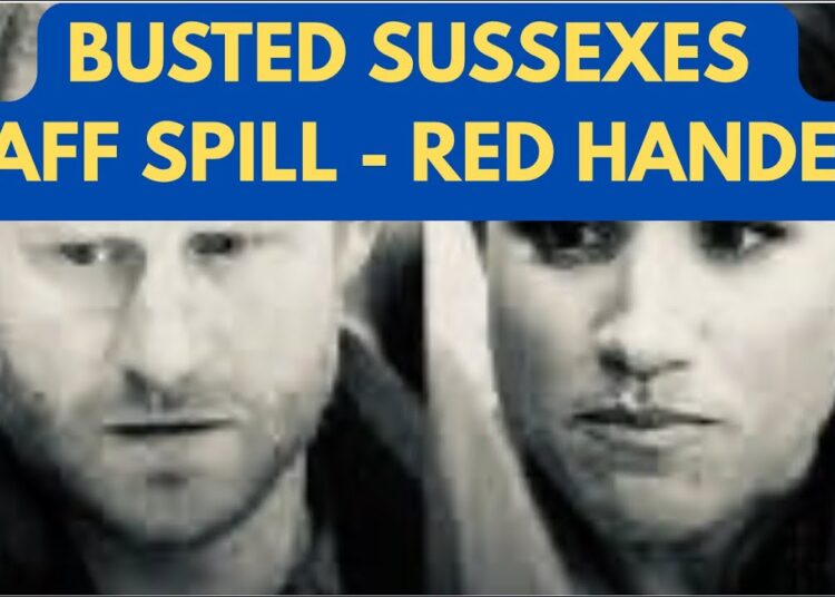 BUSTED SUSSEXES CAUGHT RED HANDED #royal #meghan #princeharry