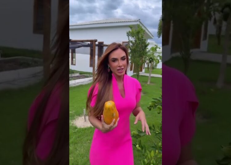 O sítio da Nicole Bahls só tem famosos e celebridades kkkk quem ama comenta um ❤️ #famosos