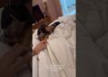 Cantor Nattan revela que seu cachorro está no veterinário #fofoca #fofocas #famosos #nattan #viral