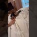 Cantor Nattan revela que seu cachorro está no veterinário #fofoca #fofocas #famosos #nattan #viral