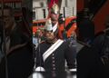 PETER ELLIS MOMENTS#kingsguard #buckinghampalace #peterellis #royalguard #shorts #military #realeza