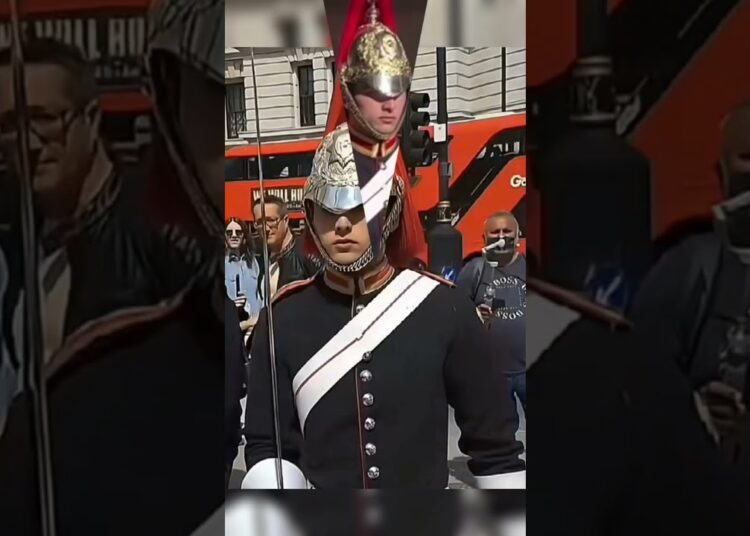 PETER ELLIS MOMENTS#kingsguard #buckinghampalace #peterellis #royalguard #shorts #military #realeza