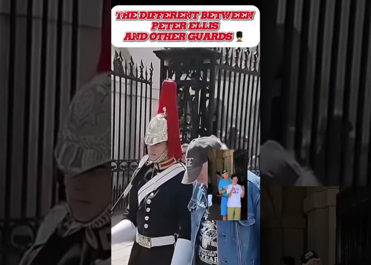 RESPECT 🫡#horseguardsparade #buckinghampalace #peterellis #kingsguard #royalguard #realeza #shorts