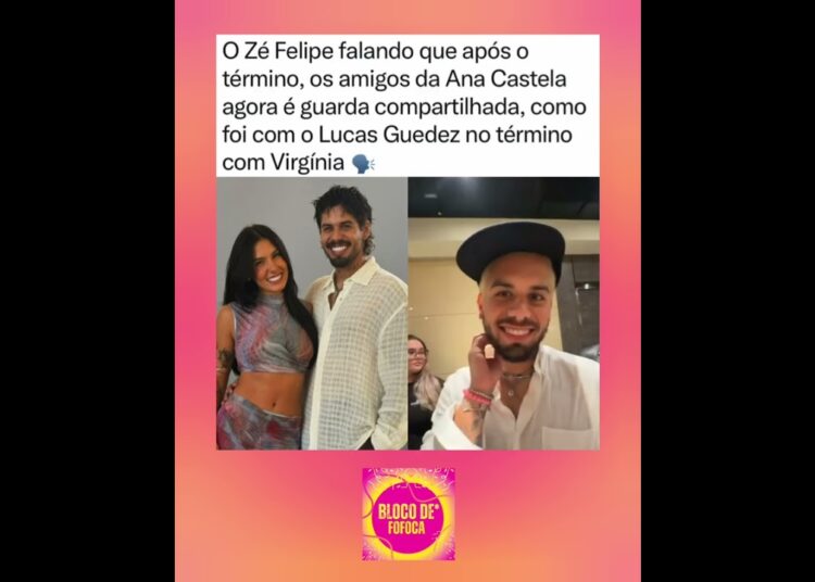 Guarda compartilhada 😂.#zefelipe #anacastela #fofocas #virginia